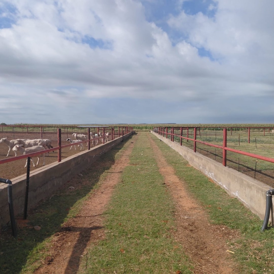 Commercial Property for Sale in Bainsvlei Free State